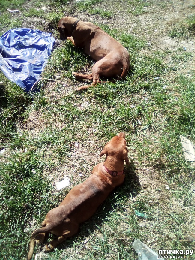 ���� 18: ��� ���� ���������...