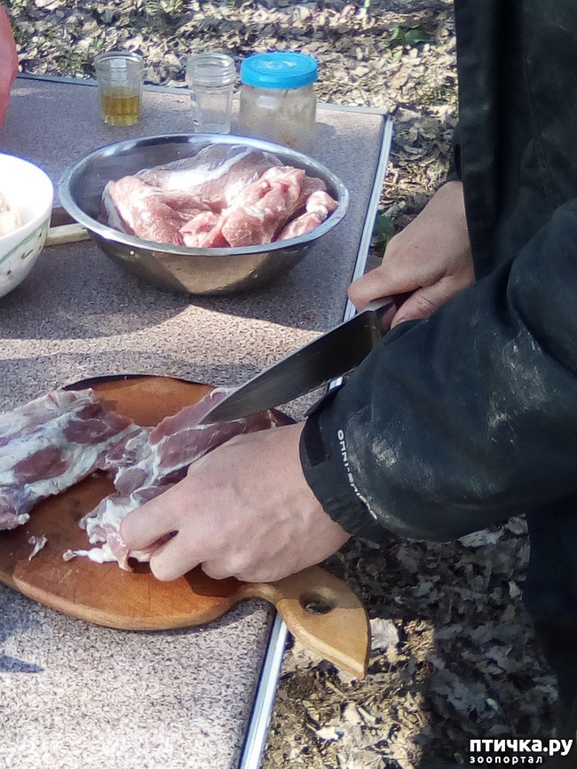 ���� 19: ��� ���� ���������...