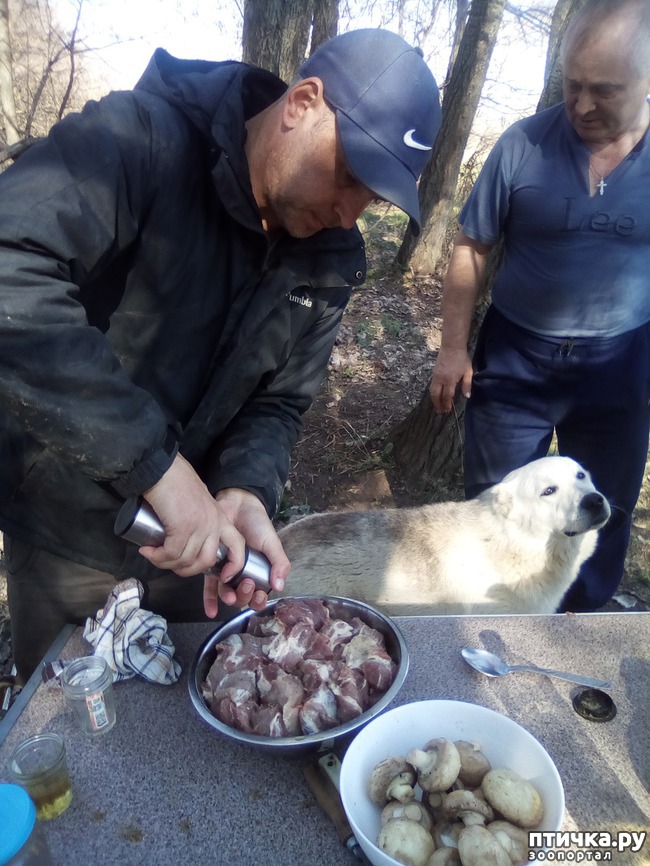 ���� 20: ��� ���� ���������...