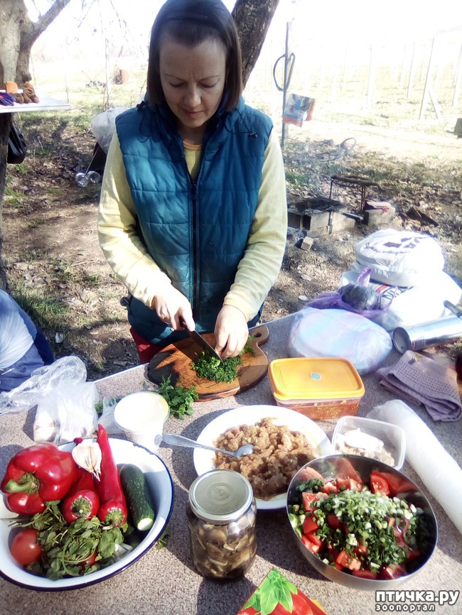 ���� 23: ��� ���� ���������...