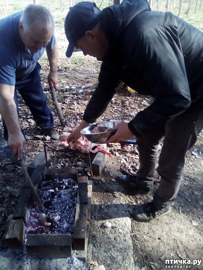 ���� 21: ��� ���� ���������...