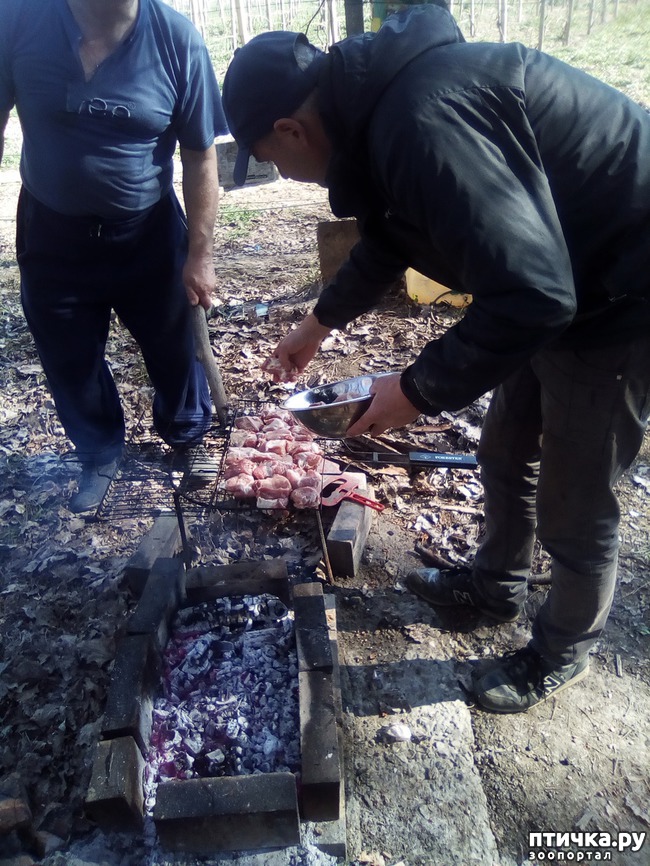 ���� 22: ��� ���� ���������...