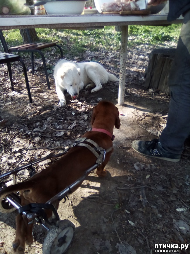 ���� 25: ��� ���� ���������...