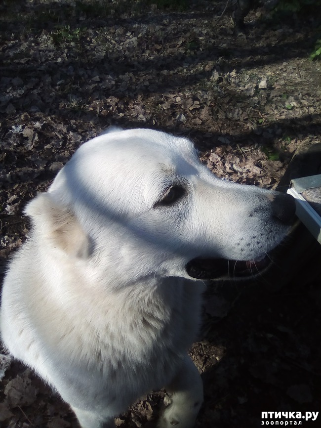 ���� 27: ��� ���� ���������...