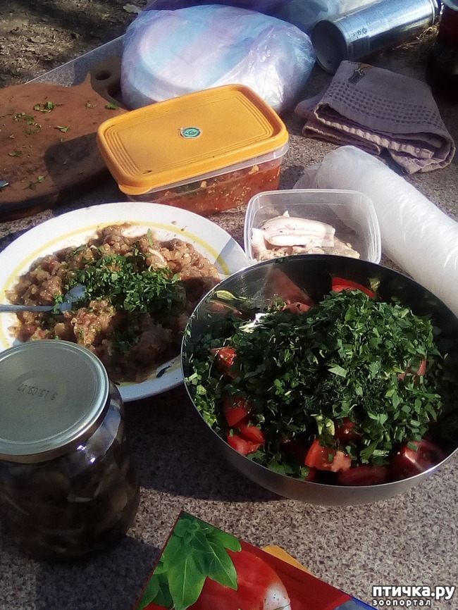 ���� 28: ��� ���� ���������...