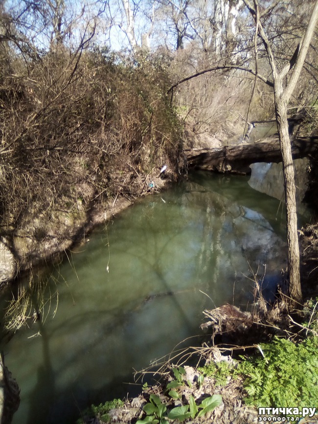 ���� 29: ��� ���� ���������...