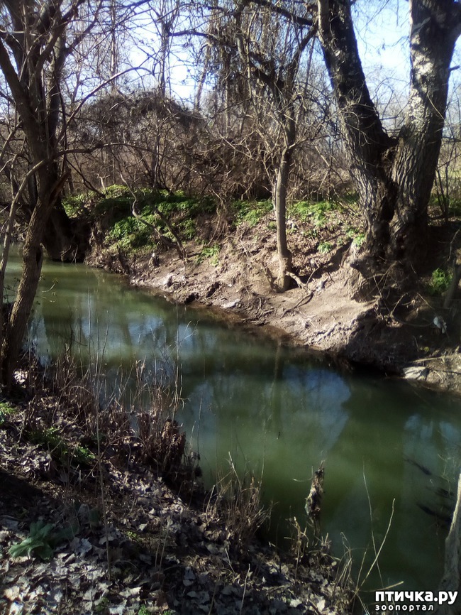 ���� 30: ��� ���� ���������...