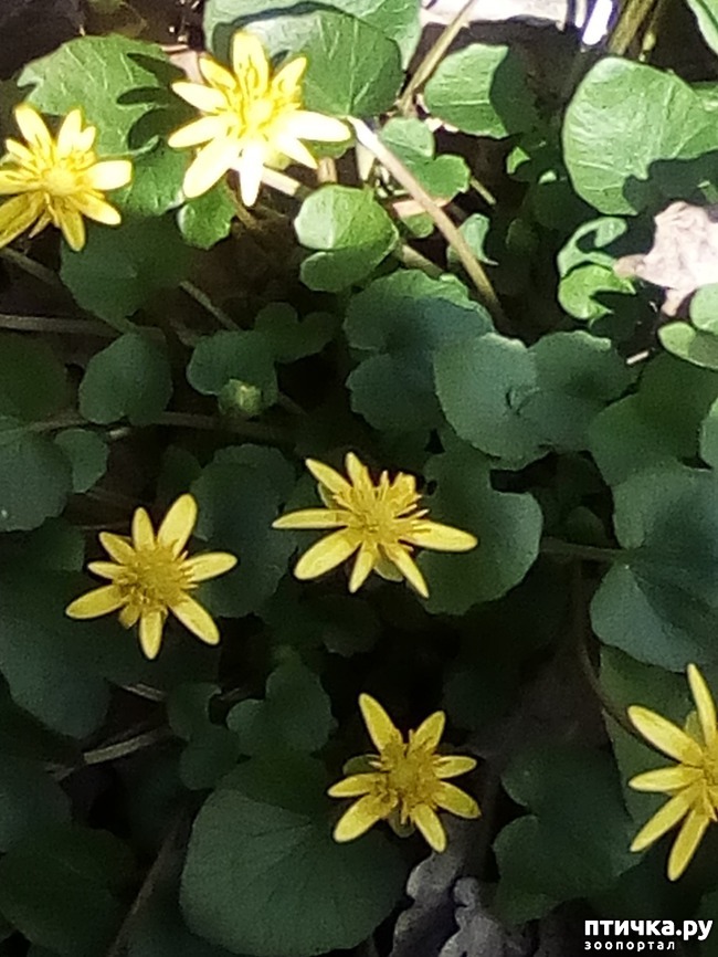 ���� 31: ��� ���� ���������...