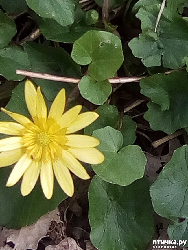 ���� 32: ��� ���� ���������...