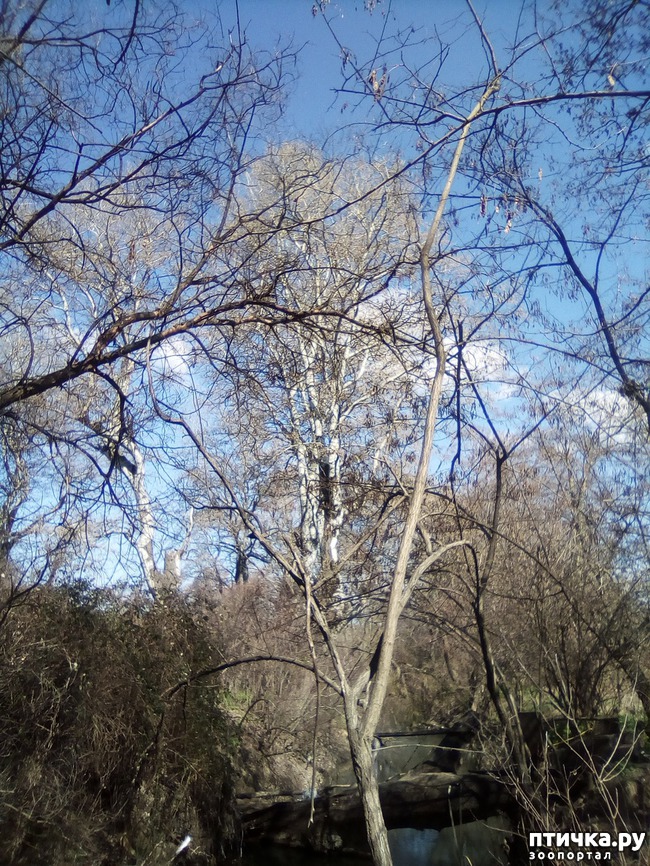 ���� 33: ��� ���� ���������...