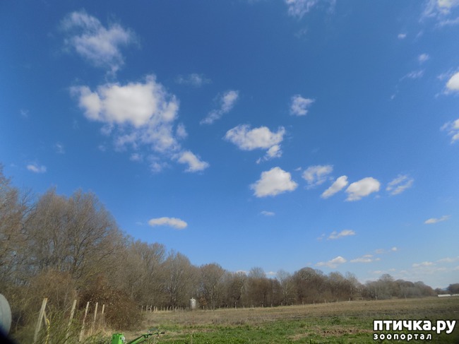 ���� 34: ��� ���� ���������...