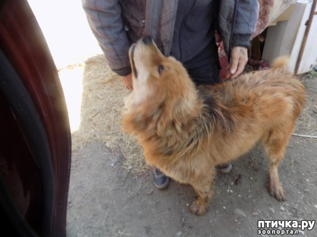 ���� 35: ��� ���� ���������...