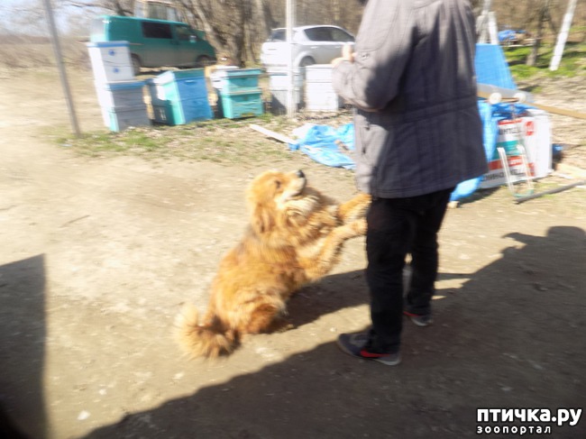 ���� 36: ��� ���� ���������...