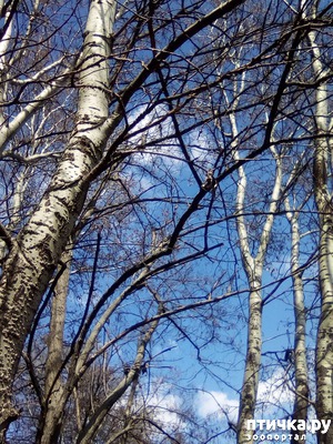 ����: ��� ���� ���������...