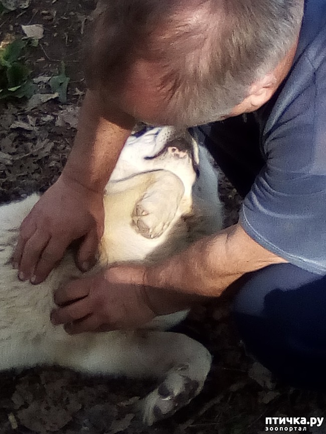 ���� 37: ��� ���� ���������...