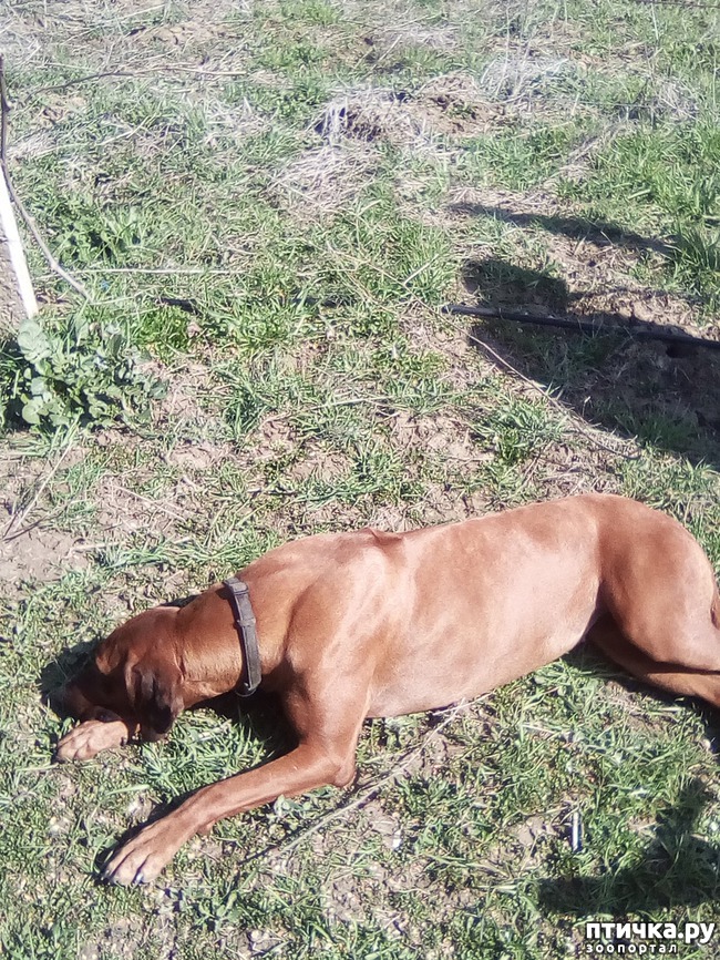 ���� 2: ��� ���� ���������...