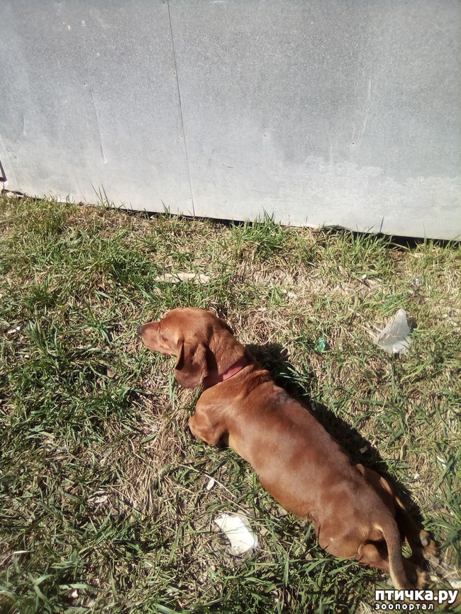 ���� 4: ��� ���� ���������...