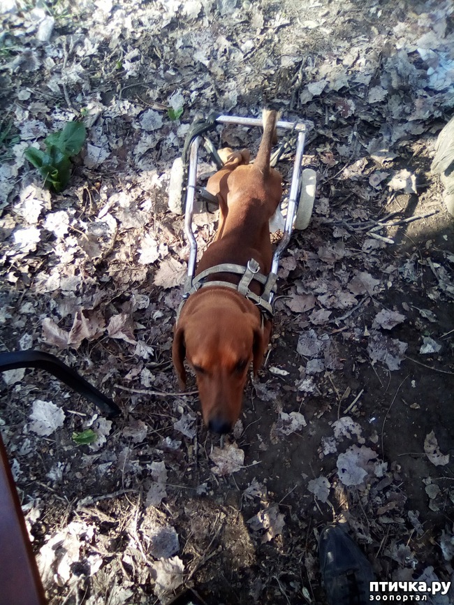 ���� 38: ��� ���� ���������...