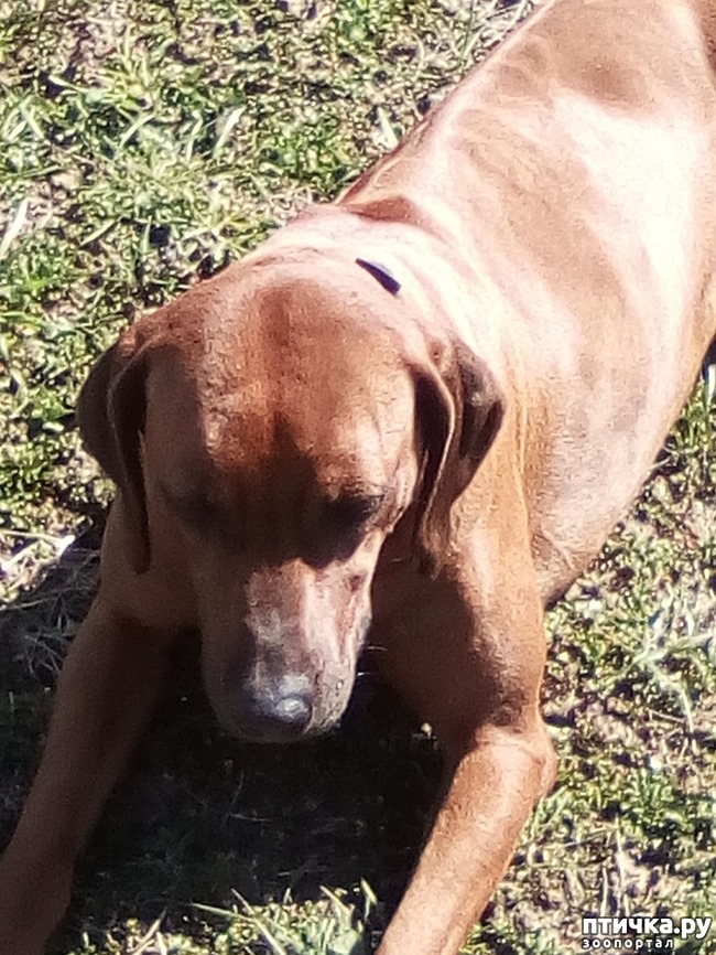 ���� 39: ��� ���� ���������...