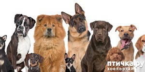 ����: ��������� ������� ����� � ������, �������� � ��������...