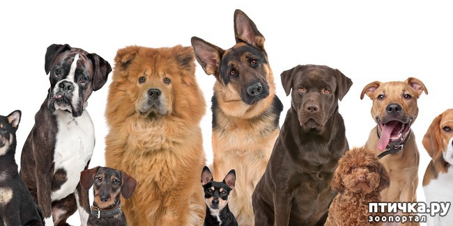 ���� 1: ��������� ������� ����� � ������, �������� � ��������...