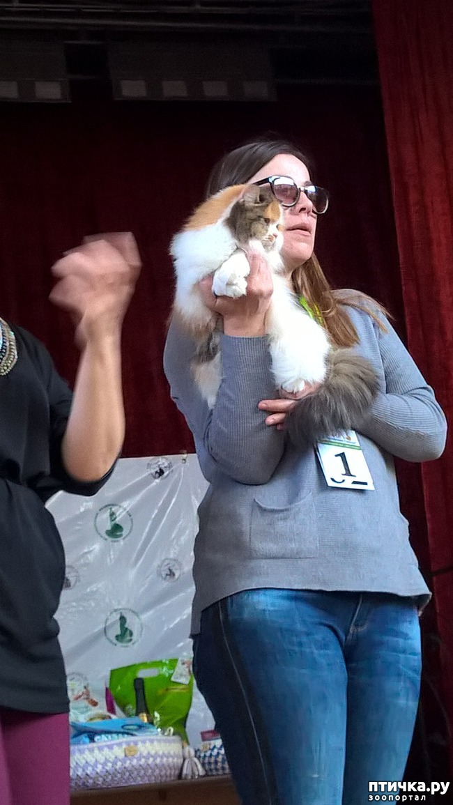 ���� 4: ������?? ��� ������!