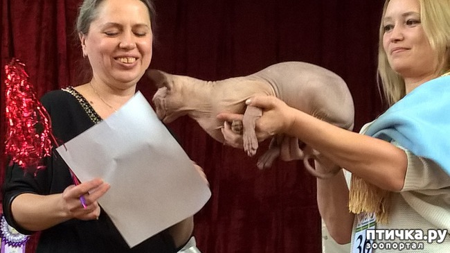 ���� 12: ������?? ��� ������!