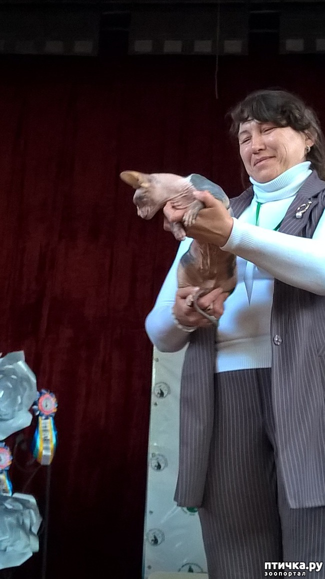 ���� 11: ������?? ��� ������!