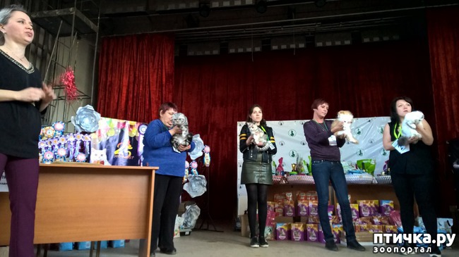 ���� 6: ������?? ��� ������!