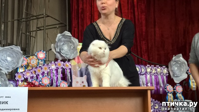 ���� 5: ������?? ��� ������!