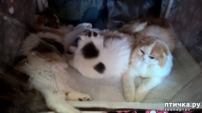 ���� 7: ������?? ��� ������!