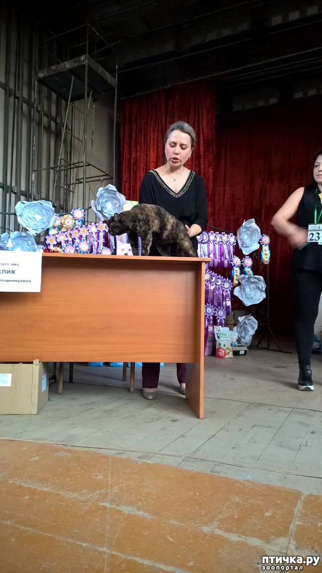 ���� 2: ������?? ��� ������!