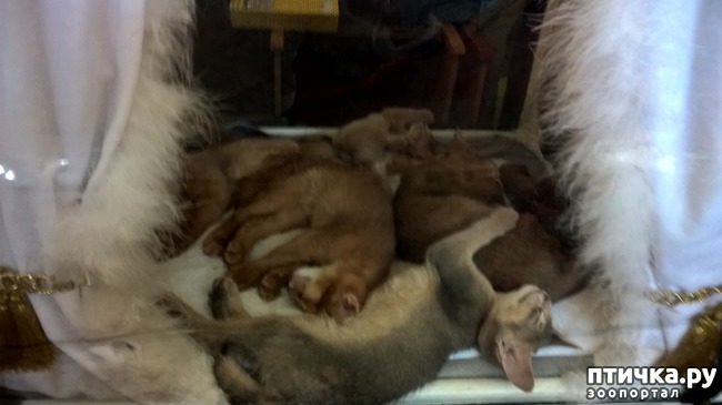 ���� 9: ������?? ��� ������!