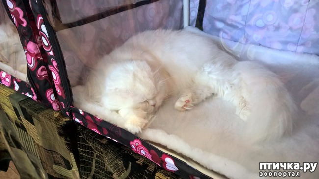 ���� 8: ������?? ��� ������!