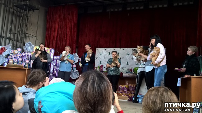 ���� 10: ������?? ��� ������!