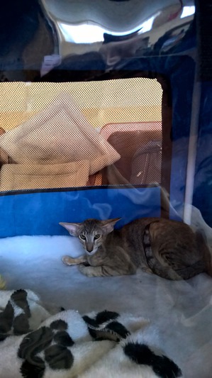 ����: ������?? ��� ������!