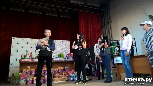 ���� 3: ������?? ��� ������!