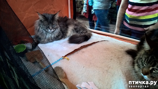 ���� 13: ������?? ��� ������!