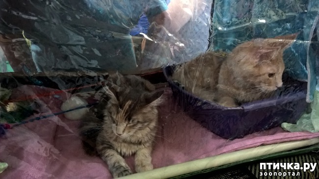 ���� 16: ������?? ��� ������!