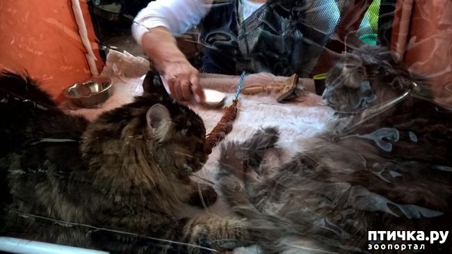 ���� 15: ������?? ��� ������!