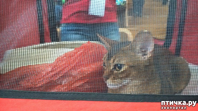 ���� 21: ������?? ��� ������!