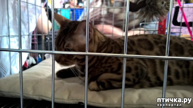 ���� 17: ������?? ��� ������!