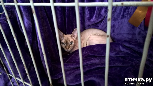 ���� 22: ������?? ��� ������!