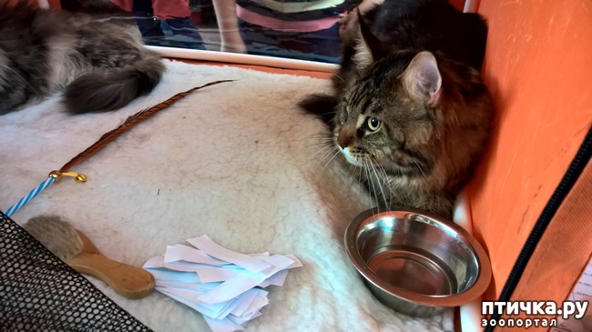 ���� 14: ������?? ��� ������!