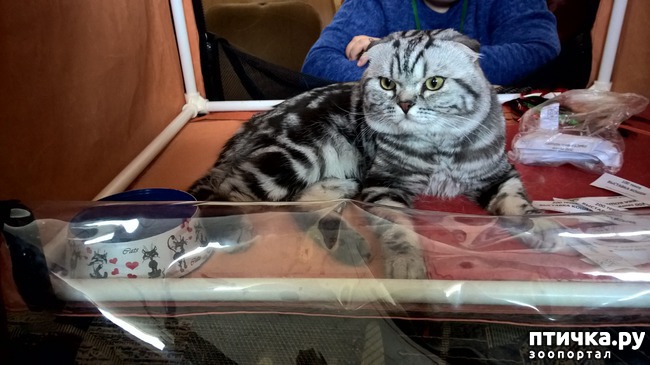 ���� 23: ������?? ��� ������!