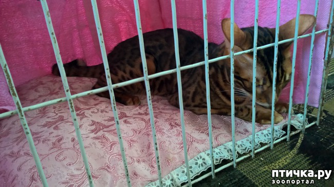 ���� 18: ������?? ��� ������!