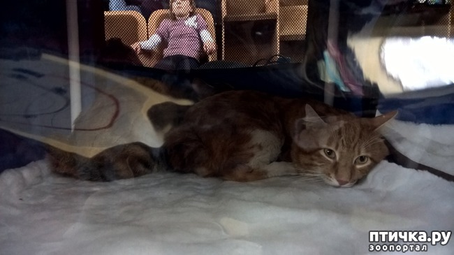 ���� 20: ������?? ��� ������!