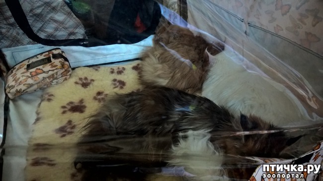 ���� 24: ������?? ��� ������!