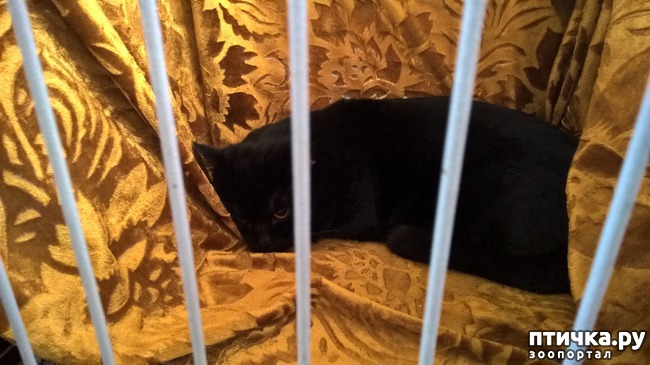 ���� 19: ������?? ��� ������!