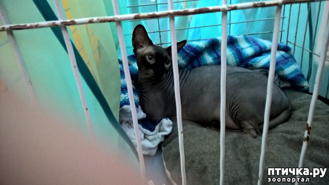 ���� 25: ������?? ��� ������!